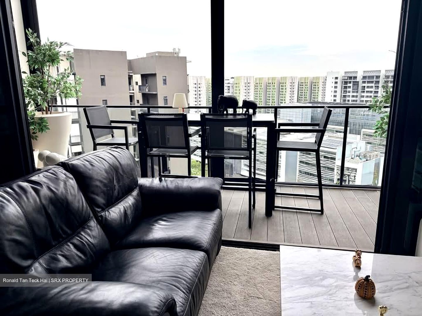 Park Colonial (D13), Condominium #555459231